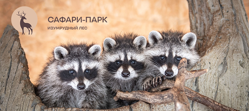Сафари-парк Изумрудный лес