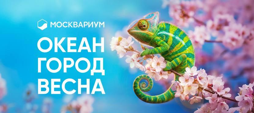 Центр океанографии и морской биологии Москвариум