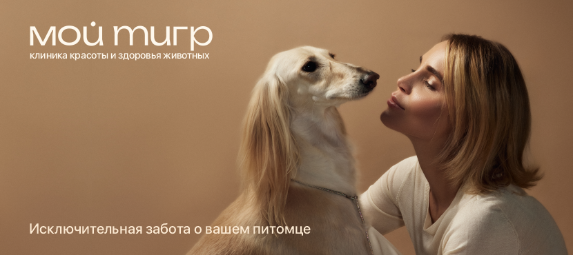 «Мой тигр» клиника красоты и здоровья животных