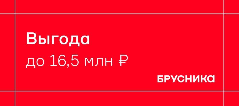 Брусника. Федеральная девелоперская компания