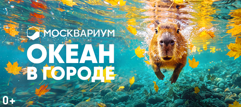 Центр океанографии и морской биологии Москвариум